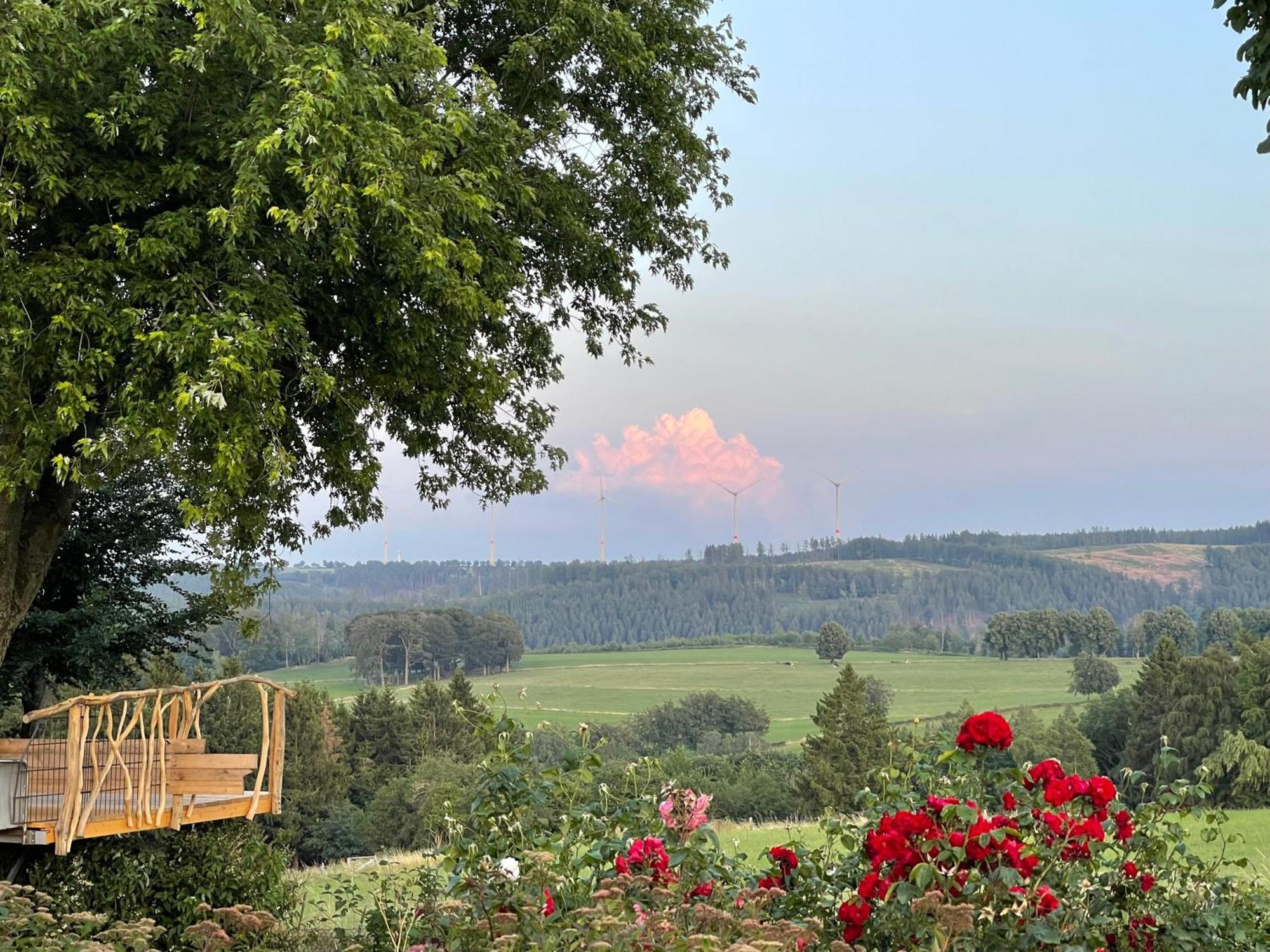 Ferienwohnung Bachem Hürtgenwald Buitenkant foto